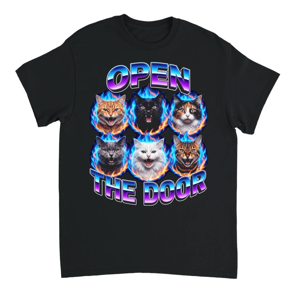 Product Open Door Cats Fire Colorful T-Shirt