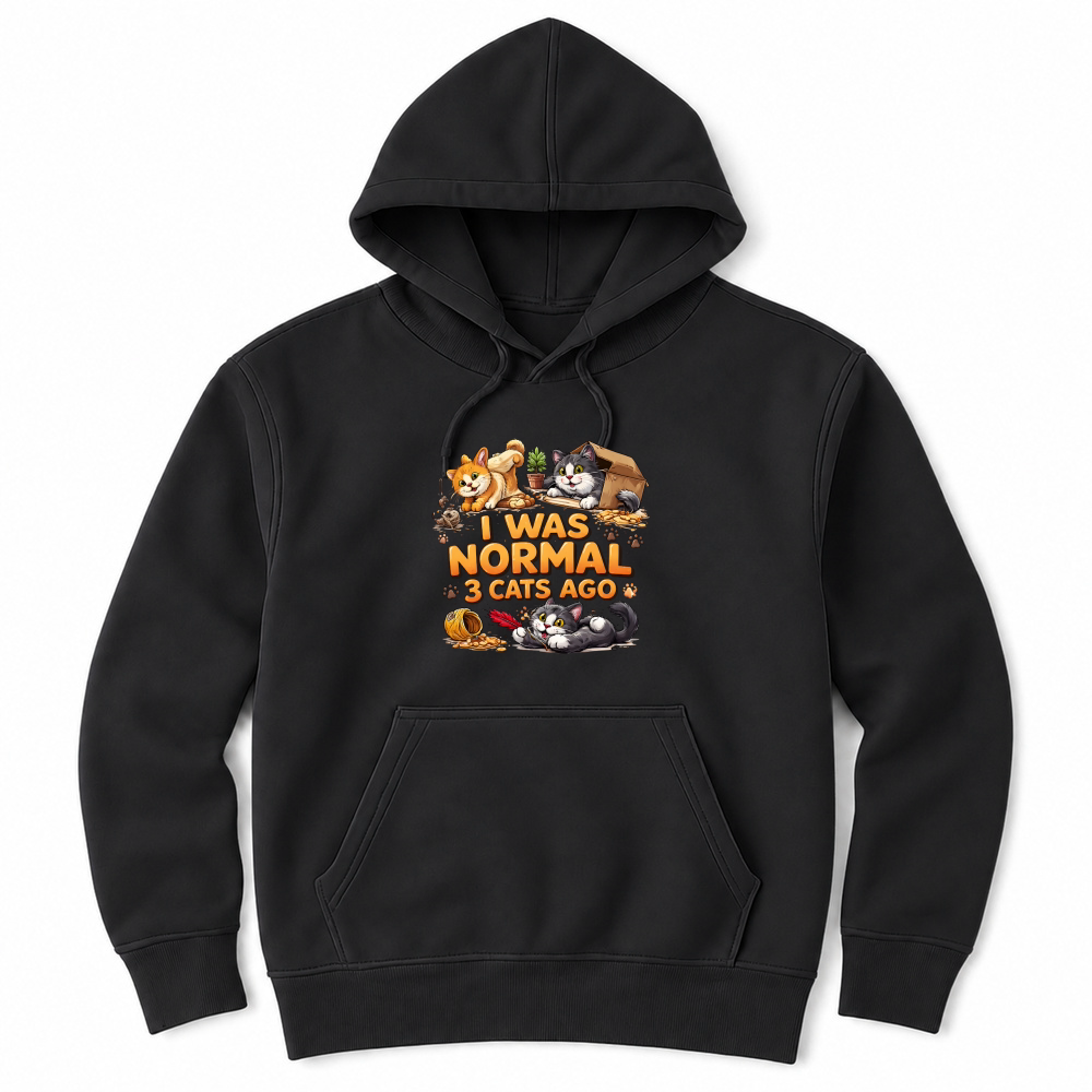 Product I Was Normal 3 Cats Ago Funny Cat Lover Unisex Hoodie