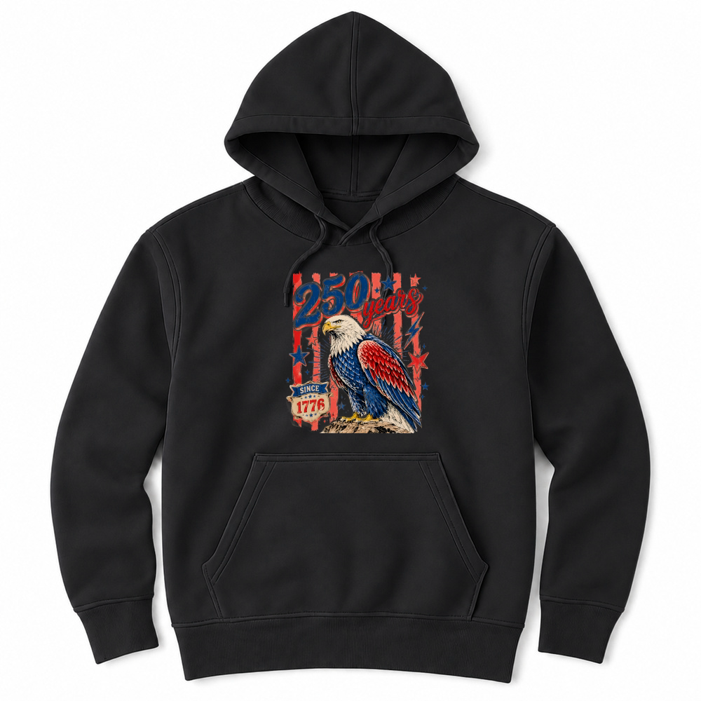 Product 250 Years Since 1776 USA Unisex Hoodie