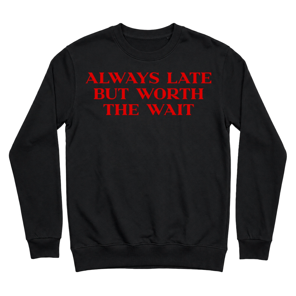 Product Y2k Aesthetic Trendy Slogan Comfort Colors Crop Top Unisex Sweatshirt