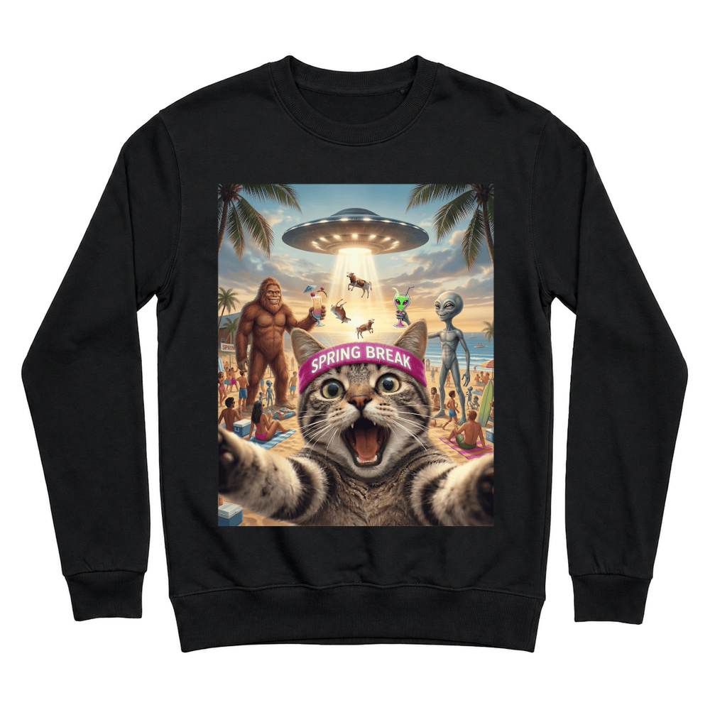 Product Spring Break Cat Alien Bigfoot Unisex Sweatshirt