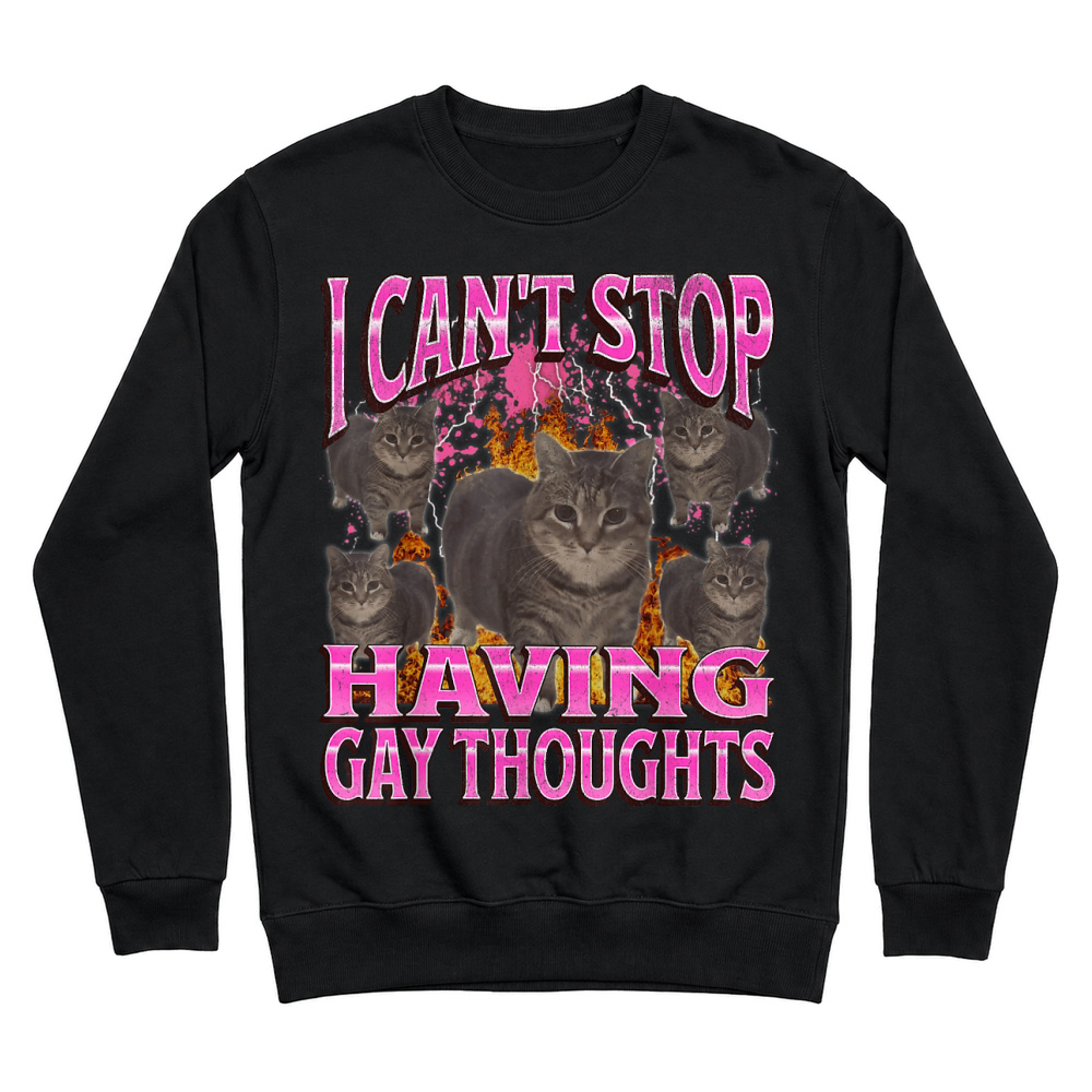Product Can't Stop Having Gay Thoughts Funny Cat Meme Bootleg T Shirt Unisex Sweatshirt